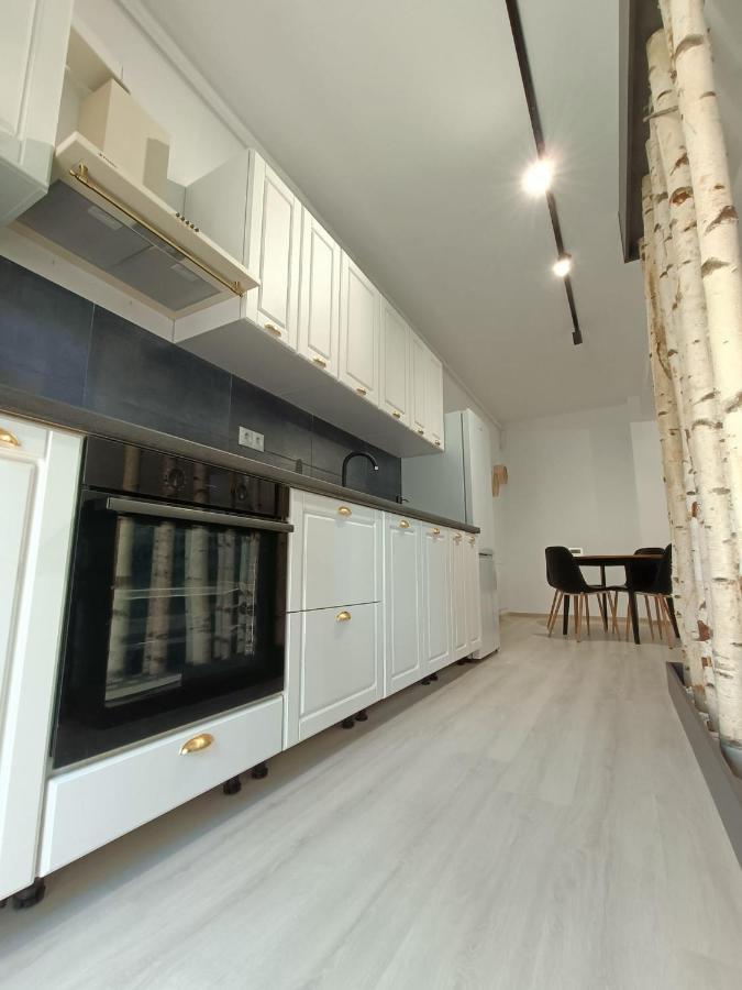 Apartament Cochet Cu Design Modern Apartment Floresti  Exterior photo