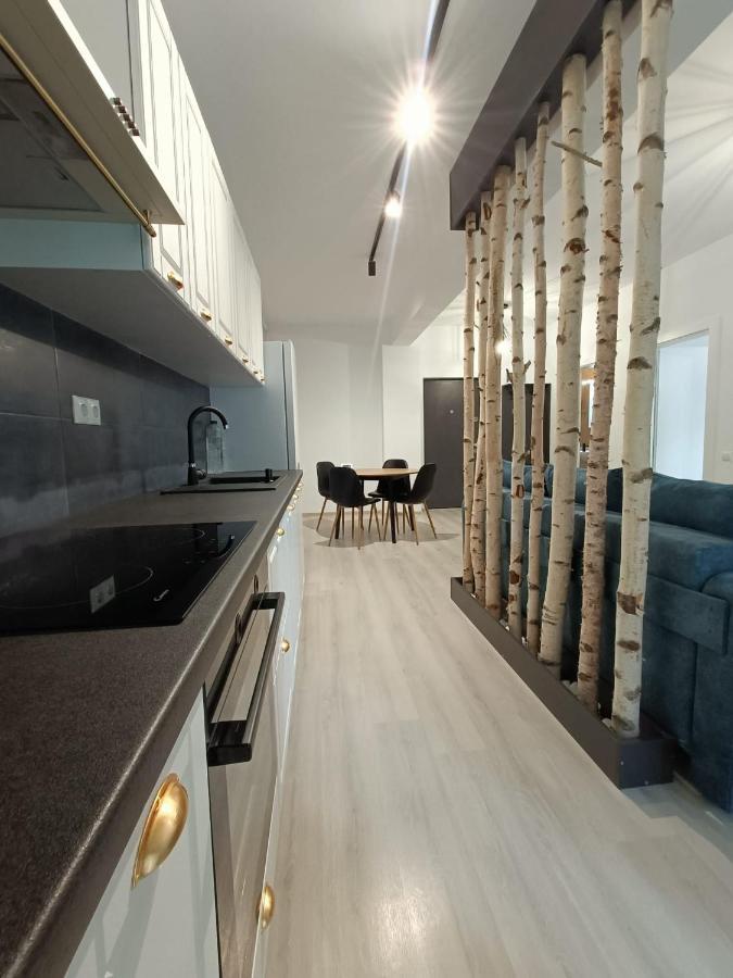 Apartament Cochet Cu Design Modern Apartment Floresti  Exterior photo